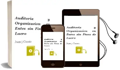 Descargar AudioLibro Auditoría y Organización en Entes sin Fines de Lucro de Juan J. Cossio año 2005