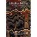 AudioLibro A Broken Mirror de Merce Rodereda