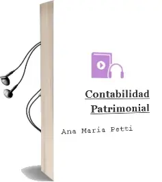 Descargar AudioLibro Contabilidad Patrimonial de Ana María Petti año 2009
