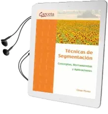 Descargar AudioLibro Técnicas de Segmentación de César Pérez año 2011