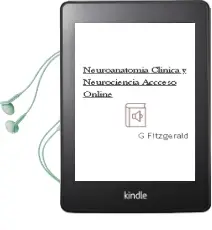 Descargar AudioLibro Neuroanatomia Clinica y Neurociencia + Accceso Online de G. Fitzgerald año 2012