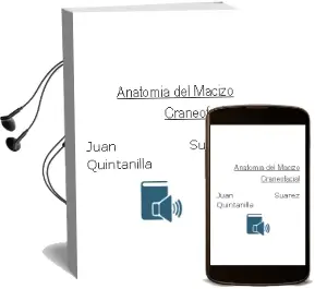 Descargar AudioLibro Anatomia del Macizo Craneofacial de Juan Suarez Quintanilla año 2014