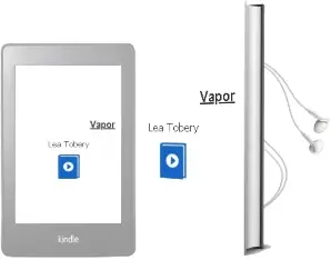 Descargar AudioLibro Vapor de Lea Tobery año 2014