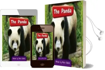 Descargar AudioLibro Connect Level 5 Pack (1X5 Titles) de Varios Autores año 2015