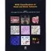 AudioLibro Who Classification of Head and Neck Tumours (4Th Ed.) de Varios Autores