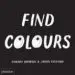 AudioLibro Find Colours de Tamara Shopsin