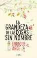 AudioLibro La Grandeza de las Cosas sin Nombre de Enrique Arce