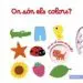 AudioLibro On son els Colors? de Nathalie Choux