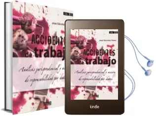 Descargar AudioLibro Análisis Jurisprudencial y Acción de Responsabilidad por Daños de José Sánchez Pérez año 2018