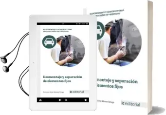 Descargar AudioLibro (I.B.D.) Desmontaje y Separación de Elementos Fijos de Francisco Javier Montes Ortega año 2018