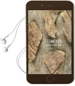 Descargar AudioLibro Les Moles de Jeroni Castell año 2018