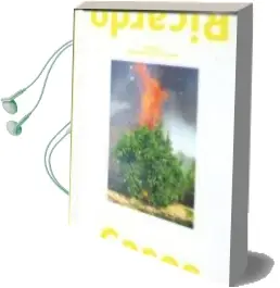 Descargar AudioLibro Ricardo Cases: Estudio Elemental de Levante de Sonia Berger Bengoa año 2018