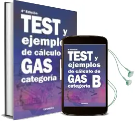 Descargar AudioLibro Test y Ejemplos de Cálculo de gas Categoría b (4ª Edición) de Desconocido año 2018