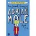 AudioLibro The Secret Diary of Adrian Mole Aged 13 ¾ de Sue Townsend