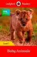 AudioLibro Bbc Earth: Baby Animals: Level 1 (Ladybird Readers) de Varios Autores