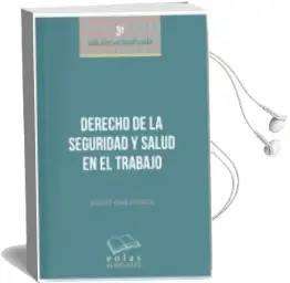 Descargar AudioLibro Derecho de la Seguridad y Salud en el Trabajo 2018 de Beatriz Agra Viforcos año 2018