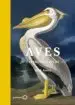AudioLibro Aves Extraordinarias de Mark Avery