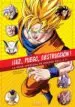 AudioLibro ¡Luz, Fuego, Destrucción! la Gran Aventura de Dragon Ball 2 de Miguel Rubio, Nés R Martínez