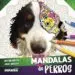 AudioLibro Mandalas de Perros de Jorge Matheus