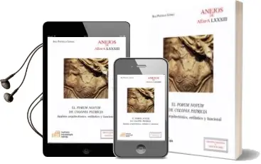 Descargar AudioLibro El Forum Novum de Colonia Patricia: Analisis Arquitectonico, Estilistico y Funcional de Ana Portillo Gómez año 2018