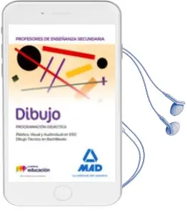Descargar AudioLibro Profesores de Enseñanza Secundaria Dibujo Programacion Didactica: Plastica, Visual y Audiovisual en la eso y Dibujo Tecnico en Bachillerato de Varios Autores año 2018