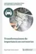 AudioLibro (I.B.D.) Transformaciones de Importancia en Carrocerías de Manuel Ángel Ordoñez Ramírez
