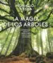 AudioLibro La Magia de los Arboles de Ignacio Abella