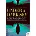 AudioLibro Under a Dark sky de Lori Rader Day