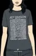 AudioLibro Joy Division de Varios Autores